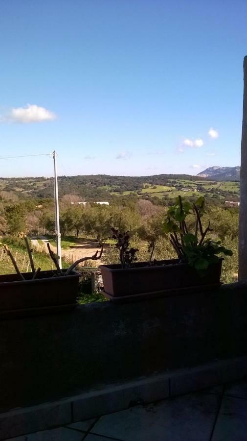 Agriturismo La Vigna Tempio Pausania Exterior photo