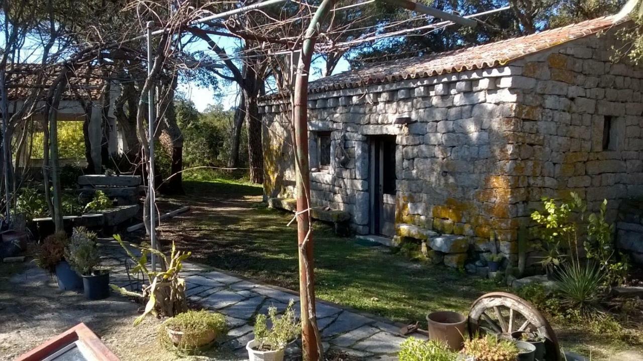 Agriturismo La Vigna Tempio Pausania Exterior photo